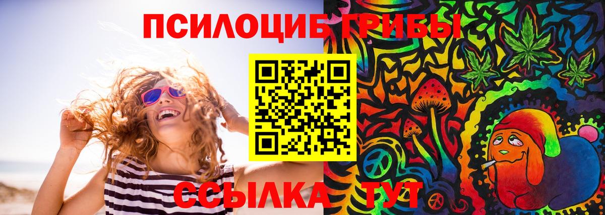 Псилоцибиновые грибы прущие грибы  Вход с VPN  Строитель 