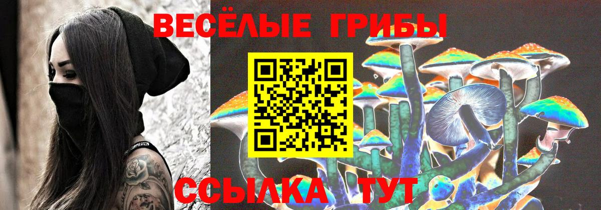 Псилоцибиновые грибы GOLDEN TEACHER Строитель